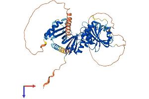 AlphaFold protein structure predicition of Human Recombinant THUMPD2 Protein, UniprotID Q9BTF0