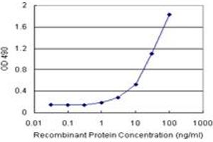 Sandwich ELISA detection sensitivity ranging from 10 ng/mL to 100 ng/mL. (NFKB1 (Humain) Matched Antibody Pair)