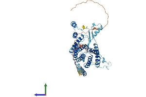 AlphaFold protein structure predicition of Human Recombinant PTDSS2 Protein, UniprotID Q9BVG9