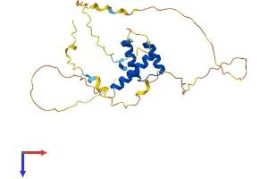 AlphaFold protein structure predicition of Mouse Recombinant Hoxd4 Protein, UniprotID P10628