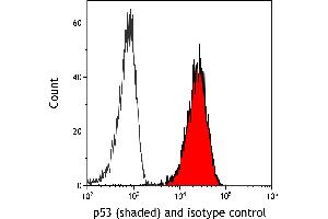 Flow Cytometry (FACS) image for anti-Tumor Protein P53 (TP53) (AA 20-25) antibody (ABIN7455068) (p53 anticorps  (AA 20-25))
