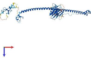 AlphaFold protein structure predicition of Human Recombinant TRIM6 Protein, UniprotID Q9C030
