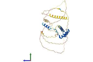 AlphaFold protein structure predicition of Human Recombinant SHOX2 Protein, UniprotID O60902