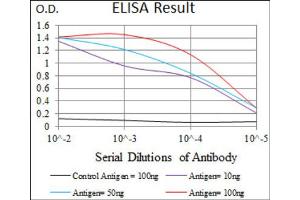 Red: Control Antigen (100ng) ; Purple: Antigen (10ng) ; Green: Antigen (50ng) ; Blue: Antigen (100ng).