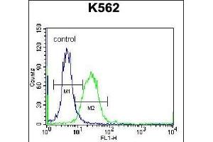 DOC2A Antibody (Center) (ABIN656766 and ABIN2845987) flow cytometric analysis of K562 cells (right histogram) compared to a negative control cell (left histogram). (DOC2A anticorps  (AA 277-306))