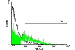 FACS analysis of 293 cells stained with STIP1 monoclonal antibody clone 2E1 (Green) and non-stained 293 cells (Black) as negative control. (STIP1 anticorps  (AA 1-543))