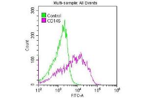 Overlay histogram showing A375 cells stained with ABIN7127274 (red line) at 1:50.