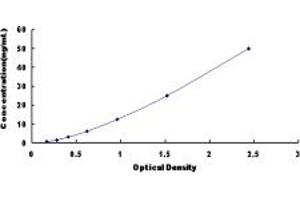 Typical standard curve (PARN Kit ELISA)