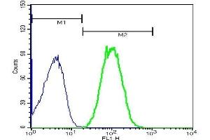 anti-Complement Component (3d/Epstein Barr Virus) Receptor 2 (CR2) (AA 981-1092) antibody