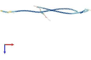 AlphaFold protein structure predicition of Human Recombinant PLVAP Protein, UniprotID Q9BX97