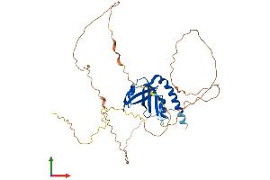 AlphaFold protein structure predicition of Human Recombinant SPATA22 Protein, UniprotID Q8NHS9
