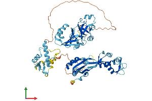 AlphaFold protein structure predicition of Human Recombinant EIF2D Protein, UniprotID P41214