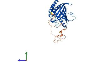 AlphaFold protein structure predicition of Mouse Recombinant Pitpnc1 Protein, UniprotID Q8K4R4