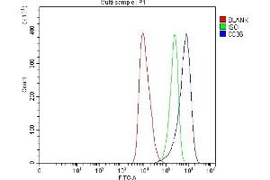 Flow Cytometry analysis of HEL cells using anti-CD36 antibody (ABIN7600781).