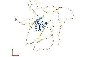 AlphaFold protein structure predicition of Mouse Recombinant Mavs Protein, UniprotID Q8VCF0