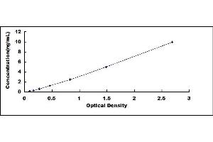 Typical standard curve (FOXP1 Kit ELISA)