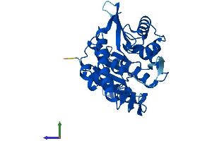 AlphaFold protein structure predicition of Human Recombinant PDXK Protein, UniprotID O00764