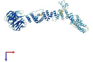 AlphaFold protein structure predicition of Human Recombinant TGFBRAP1 Protein, UniprotID Q8WUH2