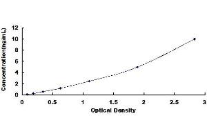 Typical standard curve