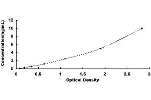 Typical standard curve (Kdm6b Kit ELISA)