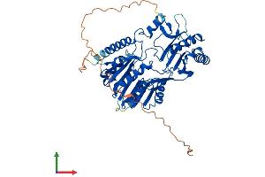 AlphaFold protein structure predicition of Mouse Recombinant Trmt2b Protein, UniprotID Q8BQJ6
