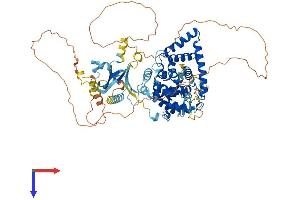 AlphaFold protein structure predicition of Human Recombinant TBC1D16 Protein, UniprotID Q8TBP0