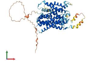 AlphaFold protein structure predicition of Mouse Recombinant Slc38a2 Protein, UniprotID Q8CFE6