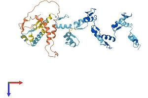 AlphaFold protein structure predicition of Human Recombinant ZNF141 Protein, UniprotID Q15928