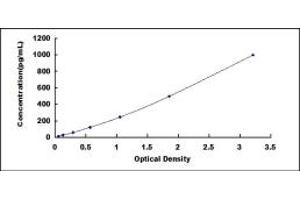 Typical standard curve (LAMA3 Kit ELISA)