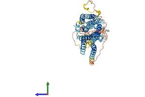 AlphaFold protein structure predicition of Mouse Recombinant Slc39a8 Protein, UniprotID Q91W10