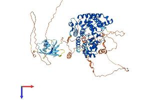 AlphaFold protein structure predicition of Mouse Recombinant Tbc1d25 Protein, UniprotID A1A5B6