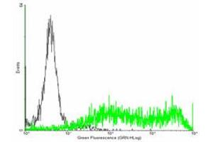FACS analysis of negative control 293 cells (Black) and F3 expressing 293 cells (Green) using F3 purified MaxPab mouse polyclonal antibody.