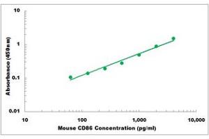 Representative Standard Curve (CD86 Kit ELISA)