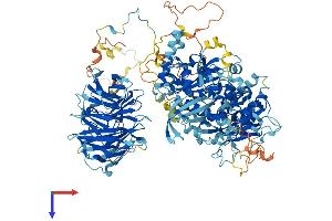AlphaFold protein structure predicition of Human Recombinant PAN2 Protein, UniprotID Q504Q3