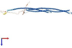 AlphaFold protein structure predicition of Human Recombinant TEKT5 Protein, UniprotID Q96M29