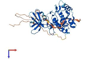 AlphaFold protein structure predicition of Mouse Recombinant Trib1 Protein, UniprotID Q8K4K4
