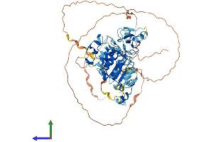 AlphaFold protein structure predicition of Mouse Recombinant Fbxl19 Protein, UniprotID Q6PB97