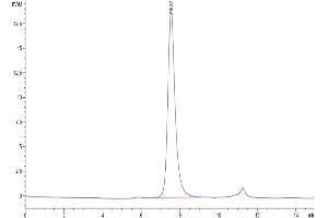 The purity of Cynomolgus CD40 is greater than 95 % as determined by SEC-HPLC.