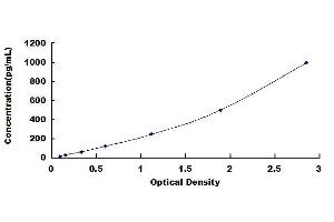 Typical standard curve (FUCA2 Kit ELISA)