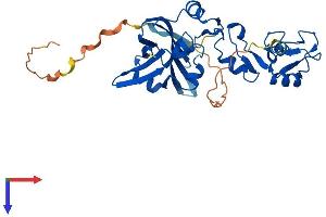 AlphaFold protein structure predicition of Mouse Recombinant Siah2 Protein, UniprotID Q06986