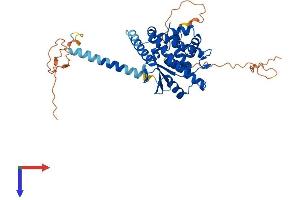 AlphaFold protein structure predicition of Human Recombinant FAXC Protein, UniprotID Q5TGI0