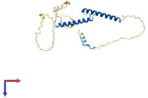 AlphaFold protein structure predicition of Mouse Recombinant Ascl1 Protein, UniprotID Q02067