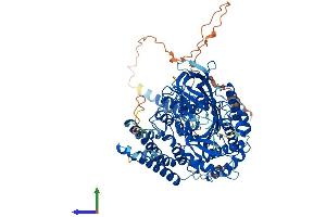 AlphaFold protein structure predicition of Mouse Recombinant Tfr2 Protein, UniprotID Q9JKX3