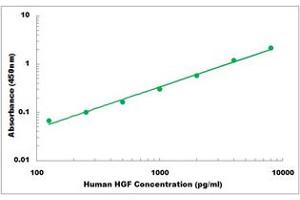 Representative Standard Curve (HGF Kit ELISA)