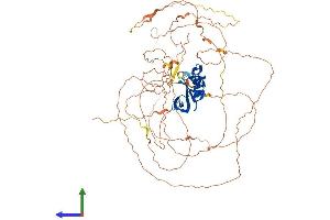 AlphaFold protein structure predicition of Human Recombinant ATXN1L Protein, UniprotID P0C7T5