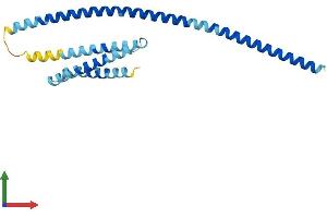 AlphaFold protein structure predicition of Human Recombinant VTI1A Protein, UniprotID Q96AJ9