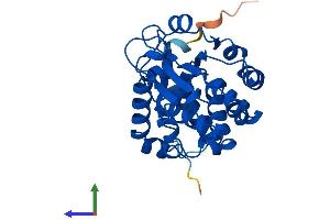 AlphaFold protein structure predicition of Human Recombinant TTPA Protein, UniprotID P49638