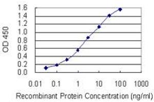 Detection limit for recombinant GST tagged SGTA is 0. (SGTA anticorps  (AA 42-123))