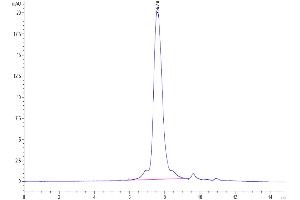 The purity of Cynomolgus TROP-2 is greater than 95 % as determined by SEC-HPLC.