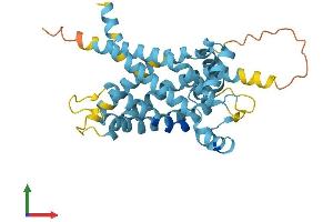 AlphaFold protein structure predicition of Mouse Recombinant Slc25a18 Protein, UniprotID Q9DB41